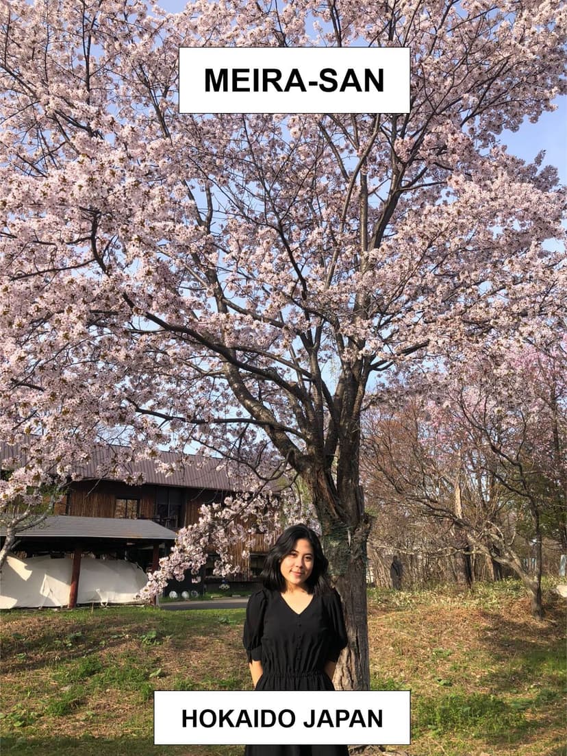 Foto Jepang 4